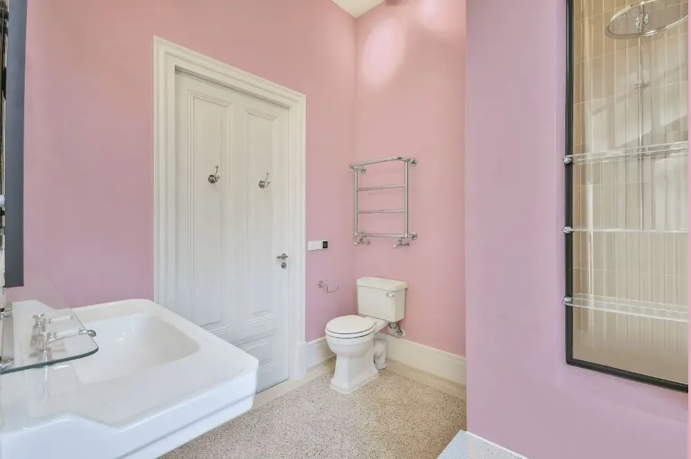 Sherwin Williams Panache Pink bathroom