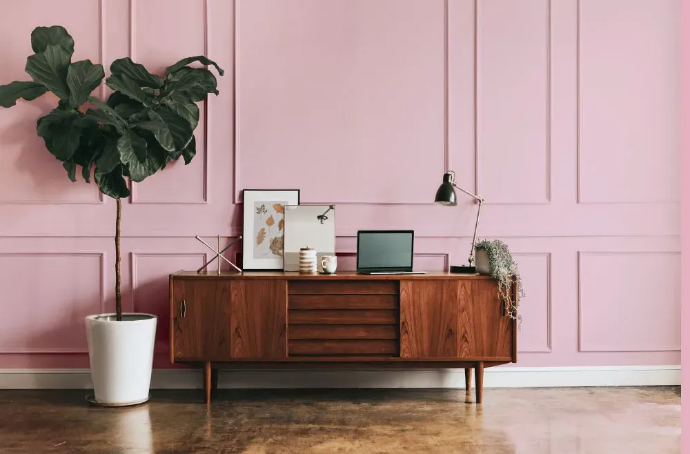 Sherwin Williams Panache Pink modern interior