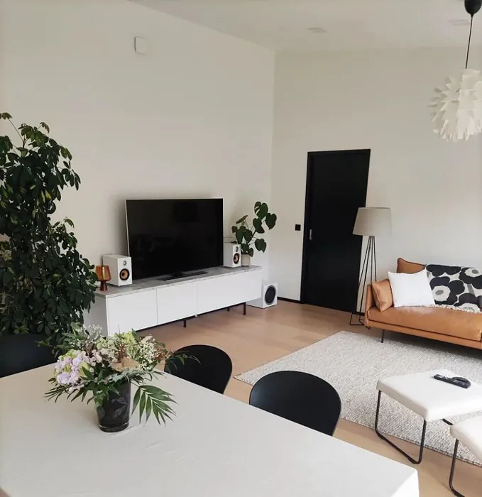 Tikkurila Paper F497 house interior with TV
