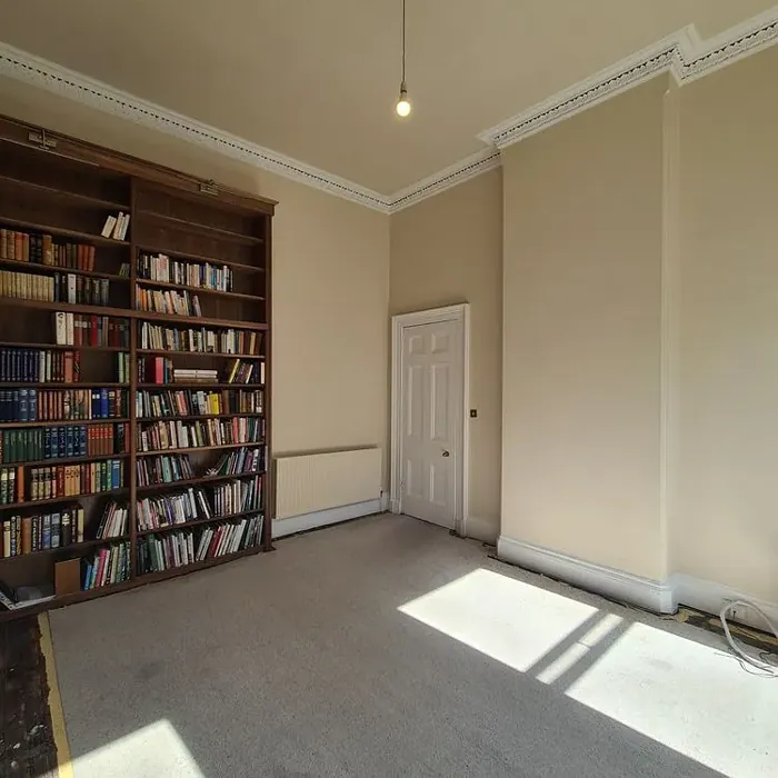 Tikkurila Parchment walls with high book shelves