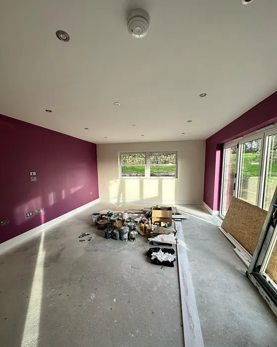 Dulux Passion Flower accent wall color