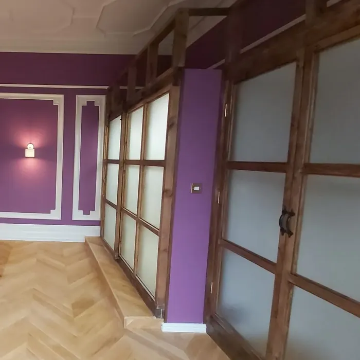 Dulux Passion Flower wall paint 