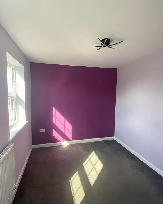 Dulux Passion Flower accent wall paint