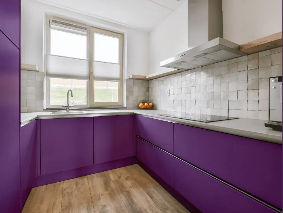 Sherwin Williams Passionate Purple small kitchen cabinets