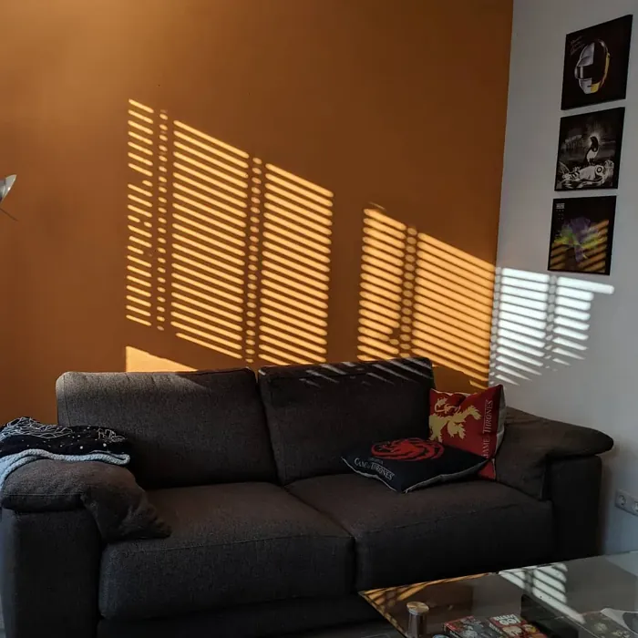 RAL 1034 accent wall 