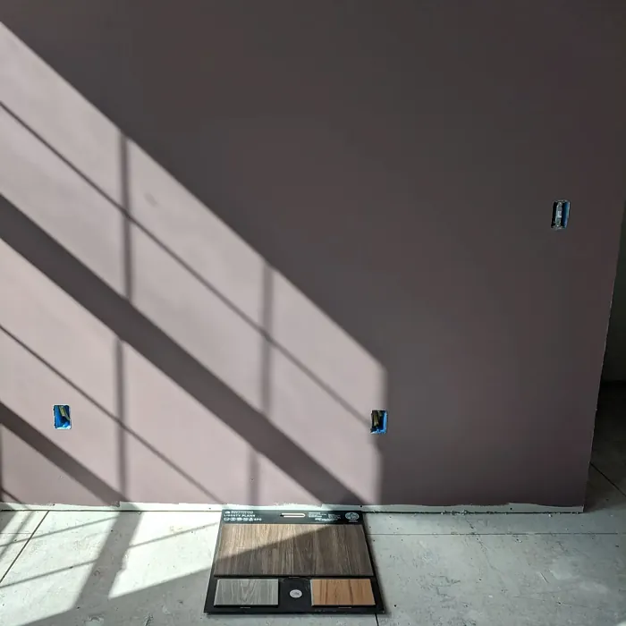 SW 0022 wall paint color