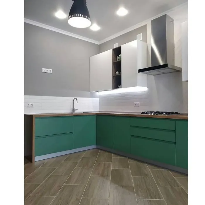 RAL 6000 kitchen cabinets color review