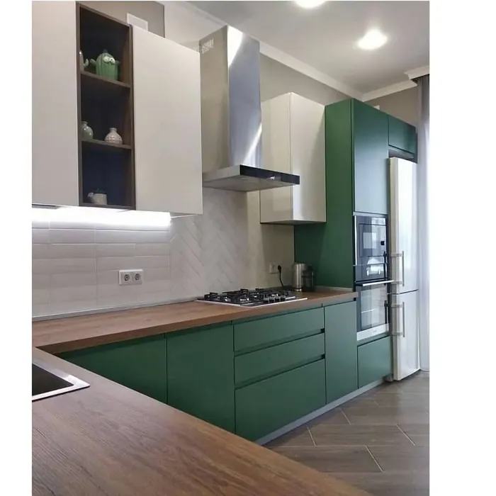 RAL 6000 kitchen cabinets 