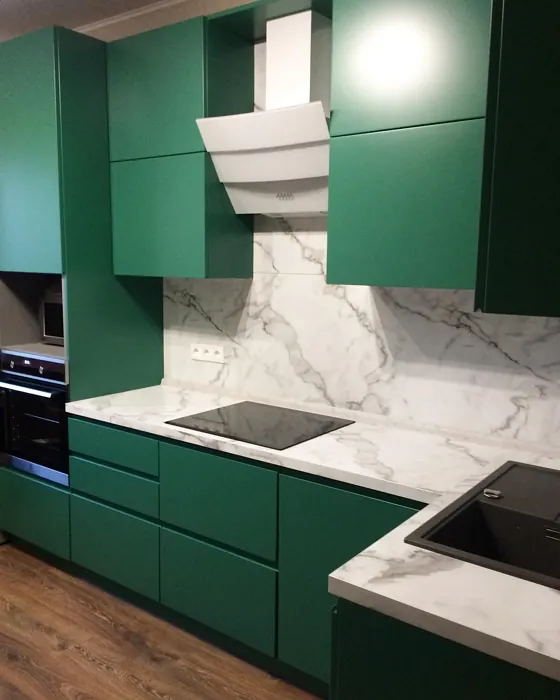 RAL 6000 kitchen cabinets review