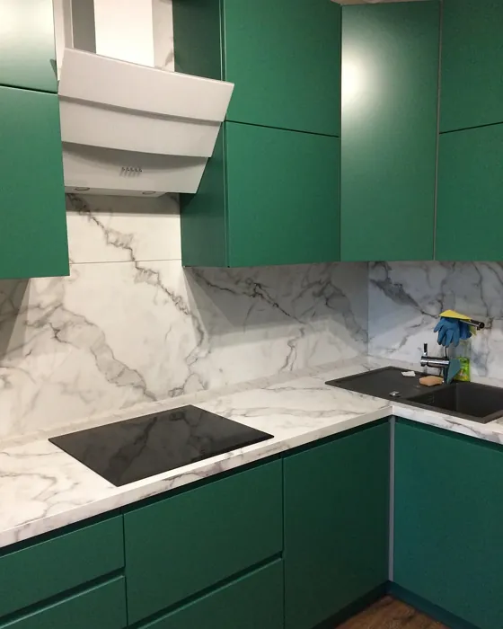 RAL 6000 kitchen cabinets color