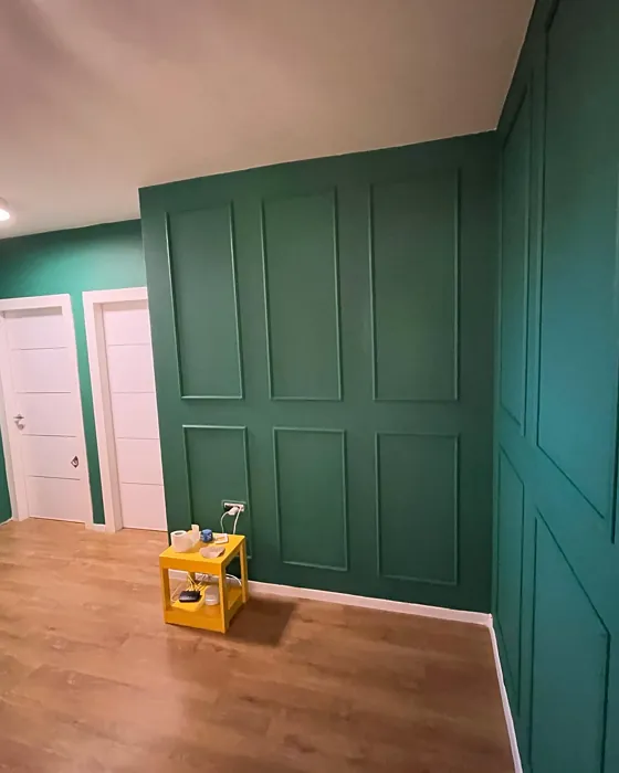 RAL 6000 wall paint picture