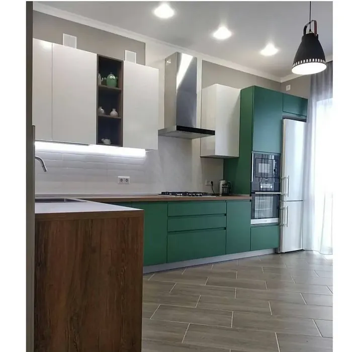 RAL 6000 kitchen cabinets color