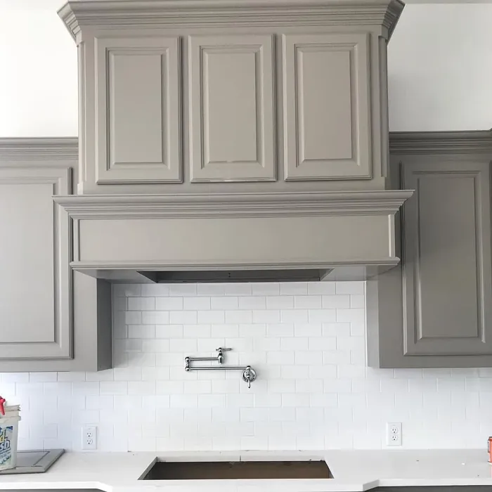 SW Pavestone kitchen cabinets color