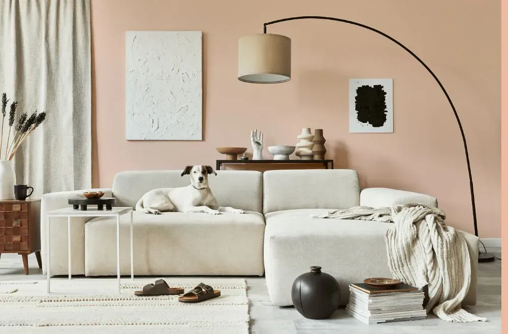Sherwin Williams Peach Blossom cozy living room