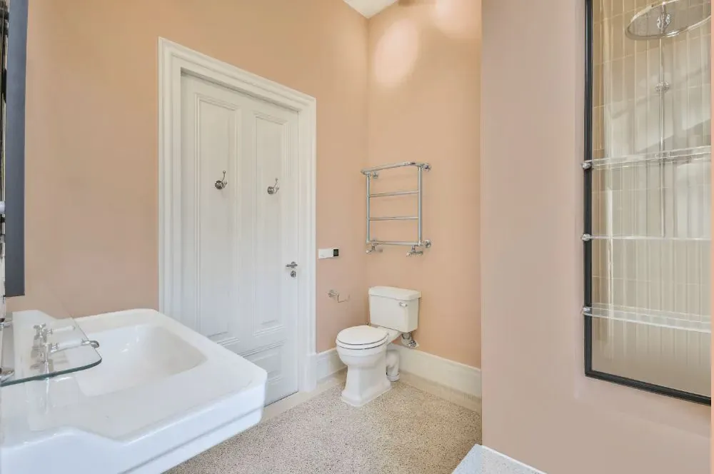 Sherwin Williams Peach Fuzz bathroom