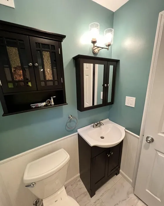 Sw peacock plume bathroom