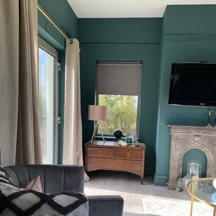 Sherwin williams peacock plume living room