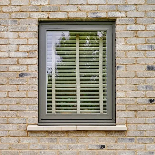 RAL 1035 window picture