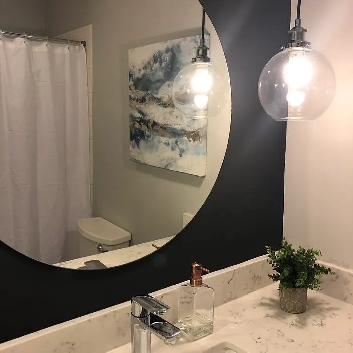 SW Pearl Gray bathroom color review