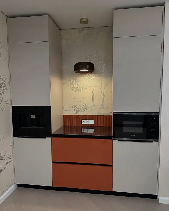 RAL 2013 kitchen cabinets 