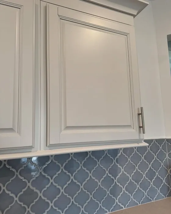 SW 7634 kitchen cabinets paint review