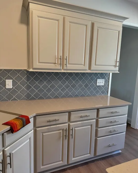 Sherwin Williams Pediment kitchen cabinets color