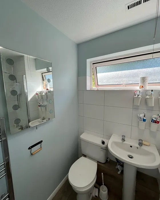 Peppermint Candy bathroom color