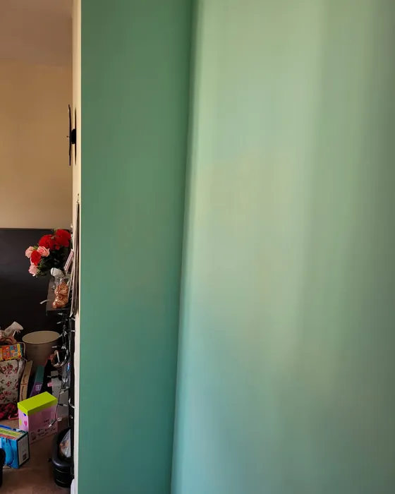 Dulux Peppermint Rock wall paint 