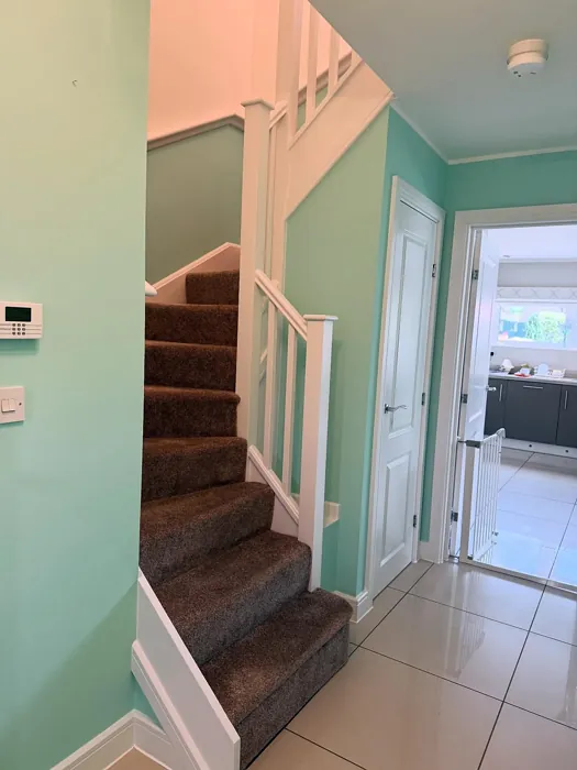 Dulux Peppermint Rock hallway color