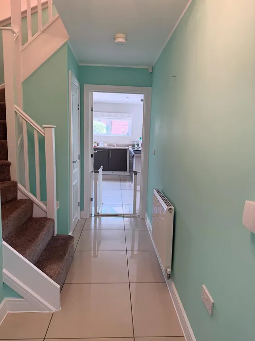 Dulux 42GG 75/155 hallway color