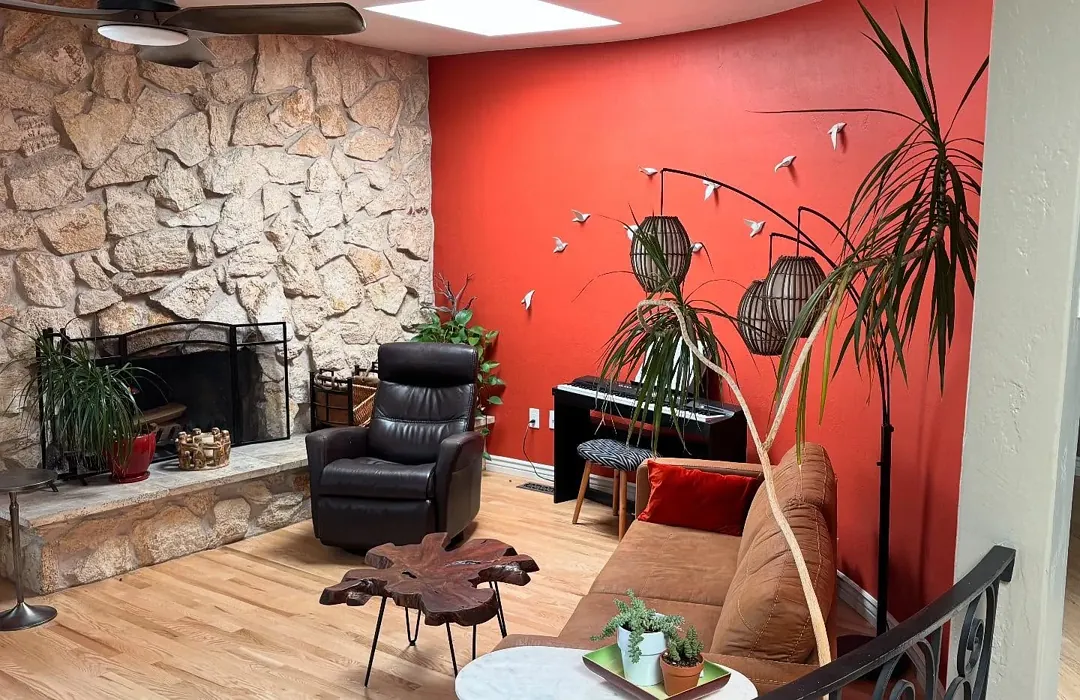 Sherwin Williams Peppery living room accent wall