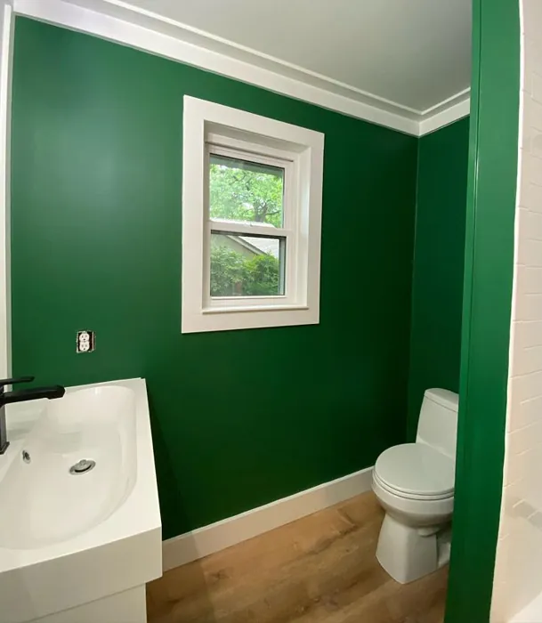 Perennial Green Bathroom