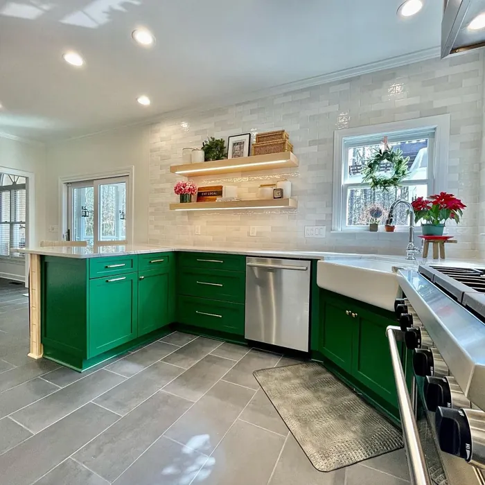 Perennial Green Kitchen Cabinets