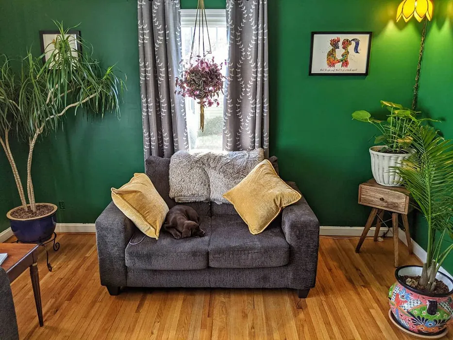 Sherwin Williams Perennial Green Living Room