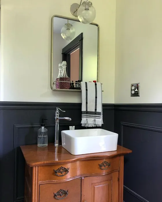 Sherwin Williams Perle Noir Bathroom