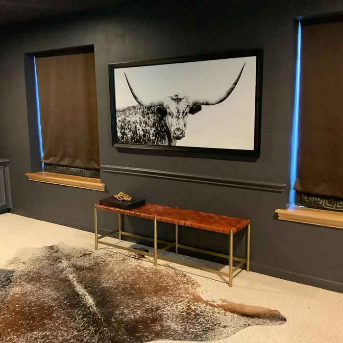 Sherwin Williams Perle Noir wall paint review