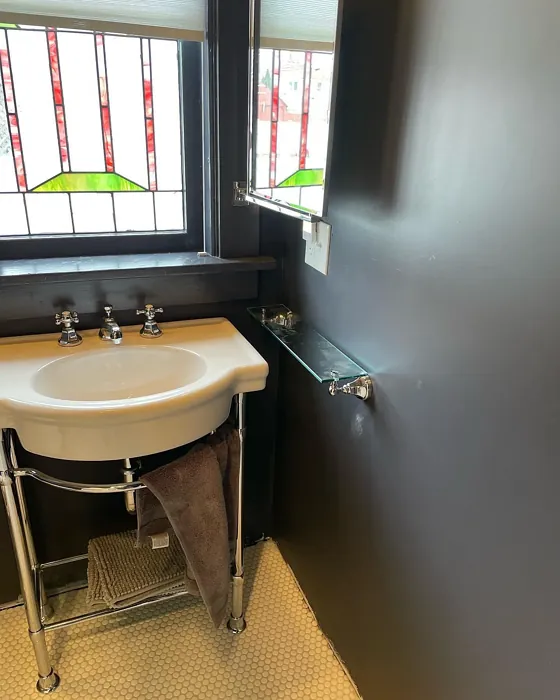 SW Perle Noir bathroom paint