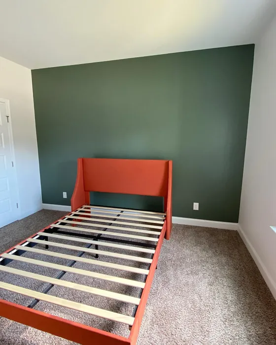 Sw Pewter Green Bedroom Accent Wall