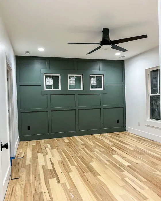 Sw 6208 Accent Wall