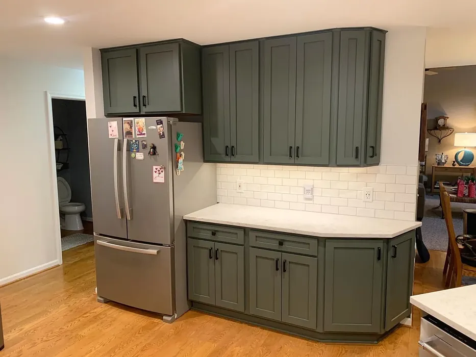 Sherwin Williams Pewter Green kitchen cabinets picture