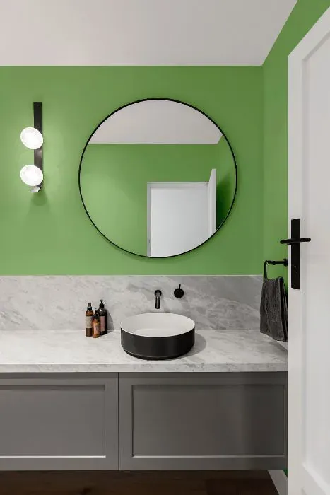 Sherwin Williams Picnic minimalist bathroom