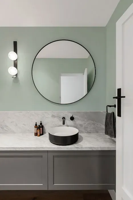 Sherwin Williams Piedmont minimalist bathroom