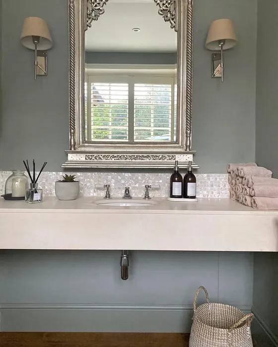 Pigeon bathroom 