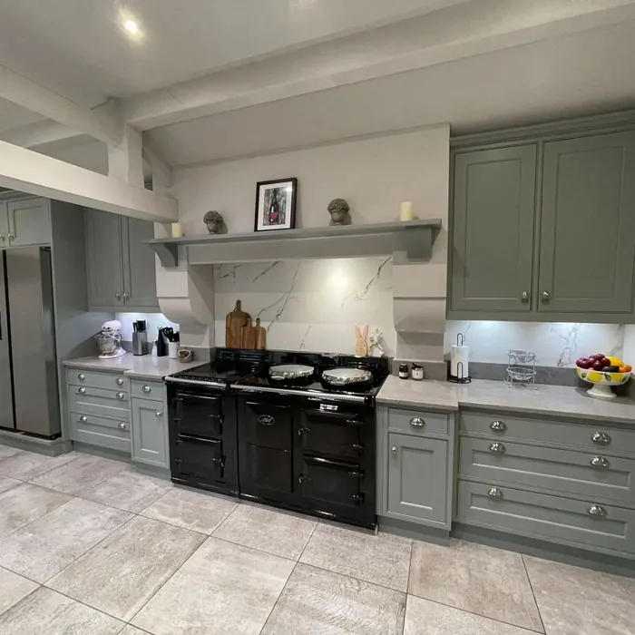 Farrow and Ball Pigeon 25 kitchen cabinets