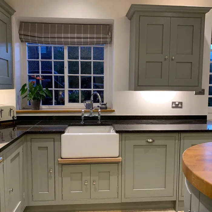 Farrow and Ball Pigeon 25 kitchen cabinets