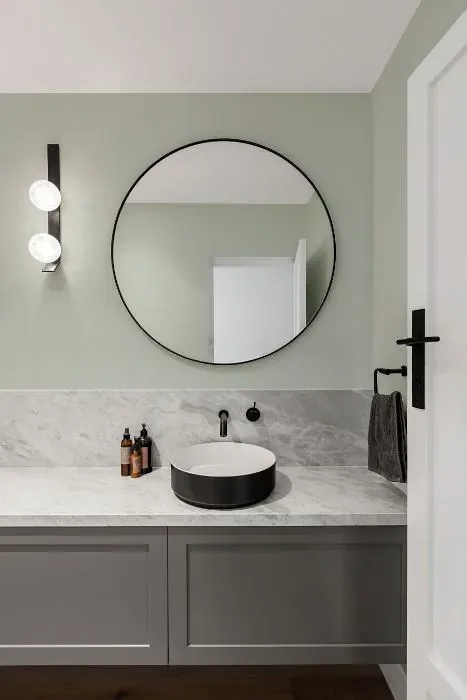 Sherwin Williams Pine Frost minimalist bathroom