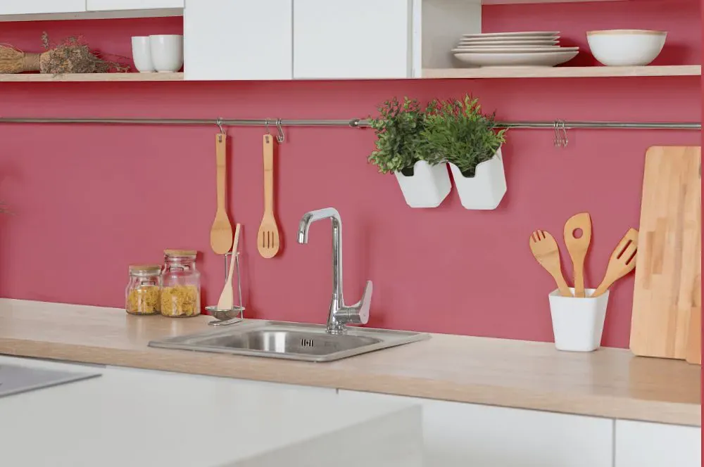 Sherwin Williams Pink Flamingo kitchen backsplash