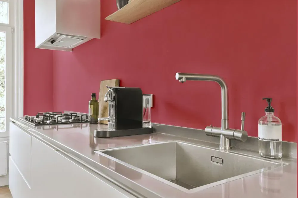 Sherwin Williams Pink Flamingo kitchen painted backsplash