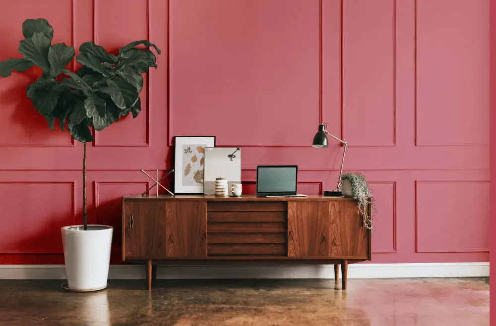 Sherwin Williams Pink Flamingo modern interior