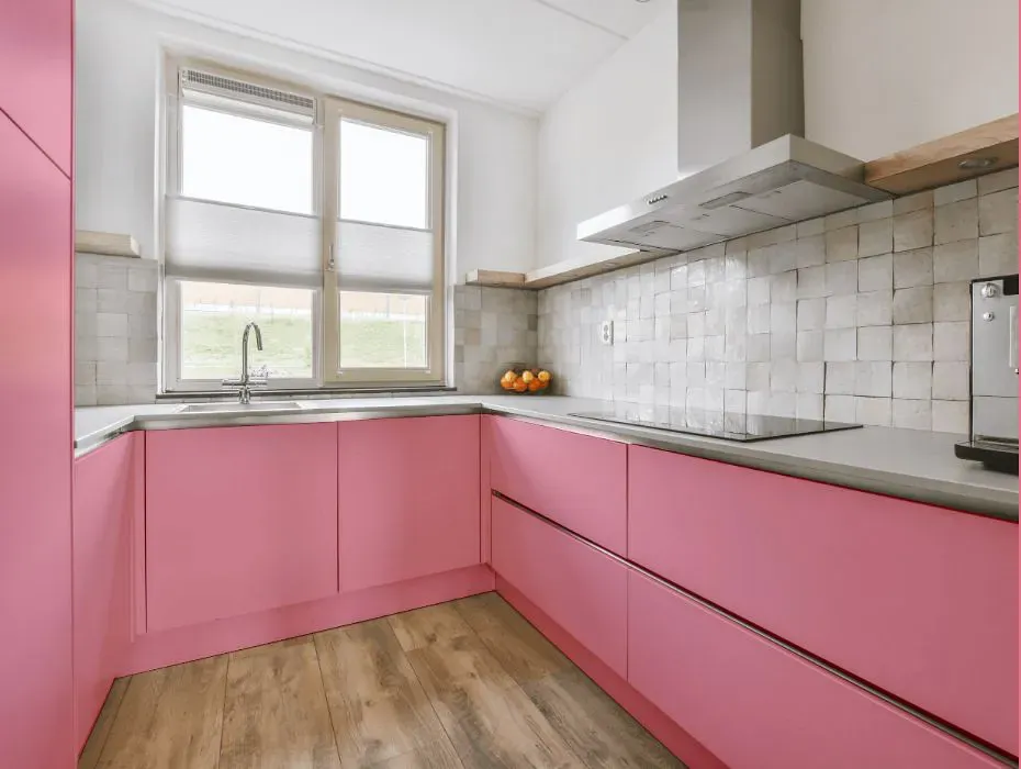 Sherwin Williams Pink Moment small kitchen cabinets